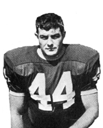 Don Tarr
