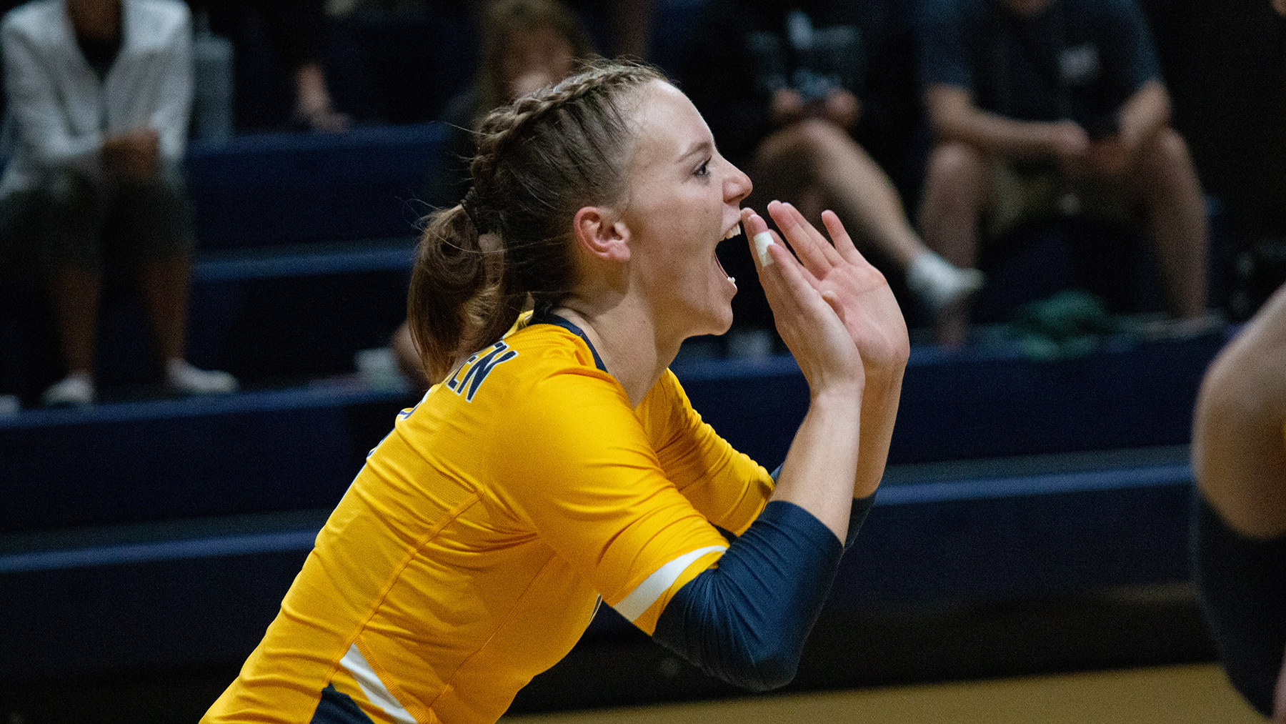 William Penn Sweeps Bobcats on Road