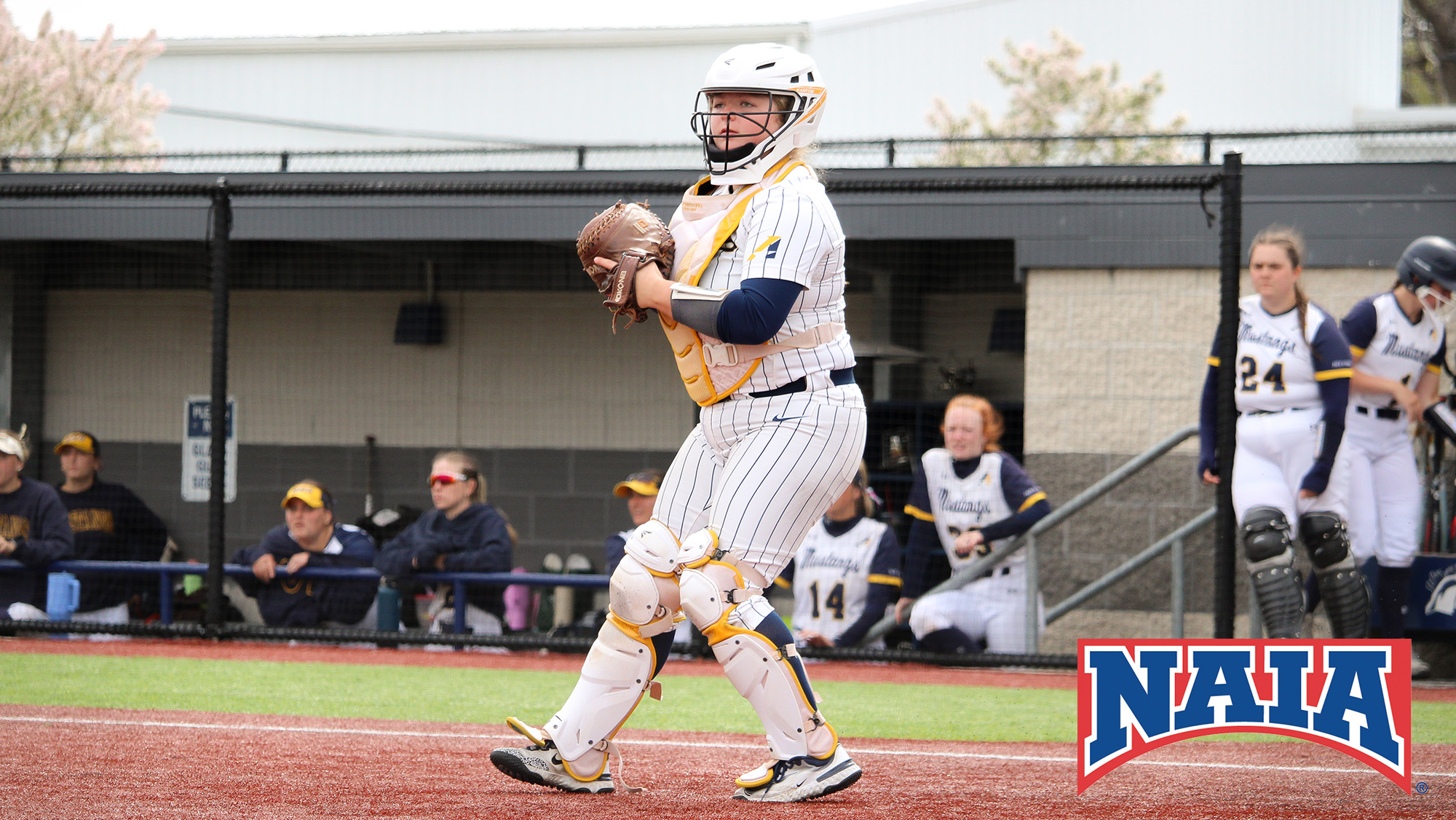 Smith Earns Second-Team All-America Award from NAIA