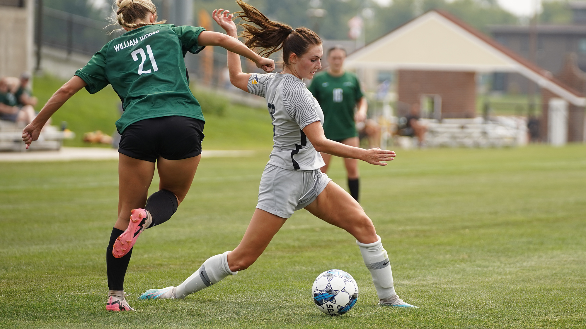William Penn Ties with Northwestern